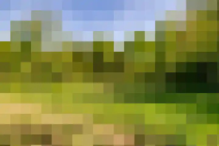 Het Hooge Veld 9 Zuidwolde thumbnail 46