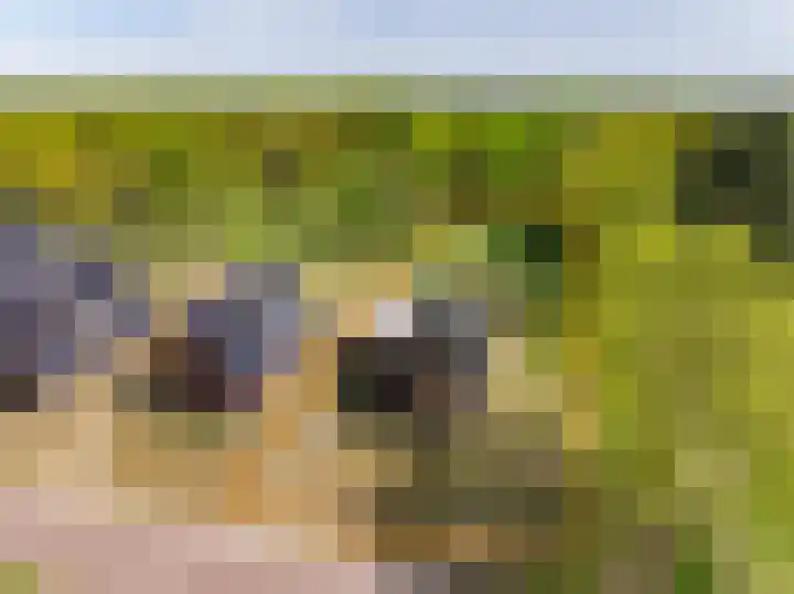 Het Hooge Veld 9 Zuidwolde thumbnail 5