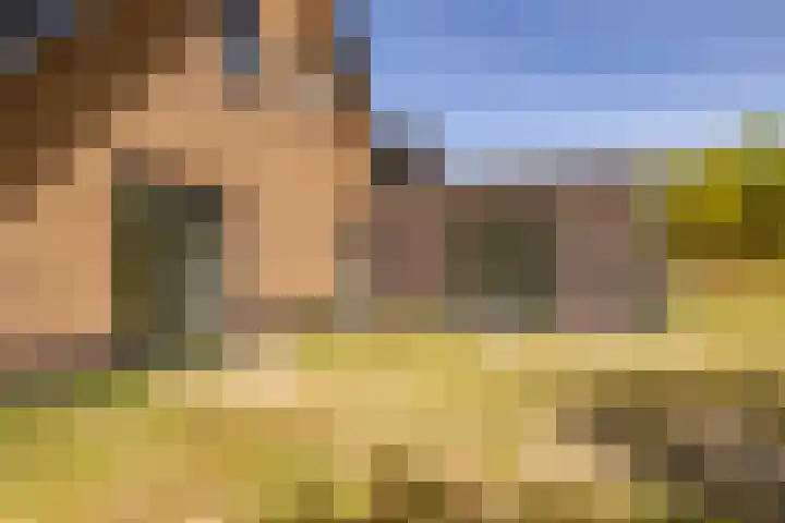 Het Hooge Veld 9 Zuidwolde thumbnail 51