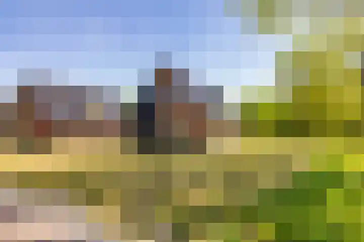 Het Hooge Veld 9 Zuidwolde thumbnail 54