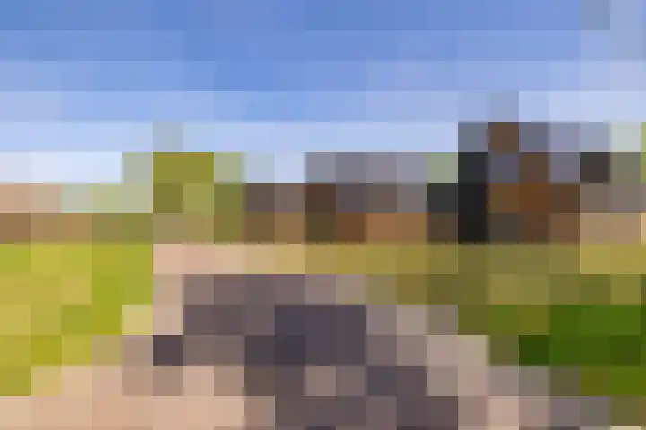 Het Hooge Veld 9 Zuidwolde thumbnail 58