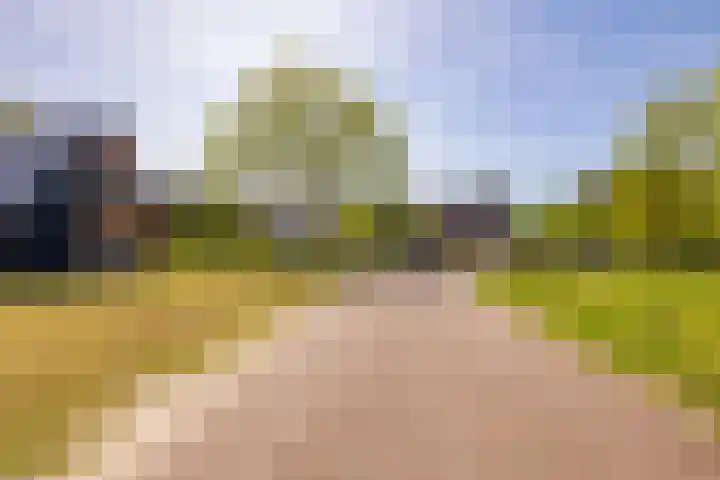Het Hooge Veld 9 Zuidwolde thumbnail 59