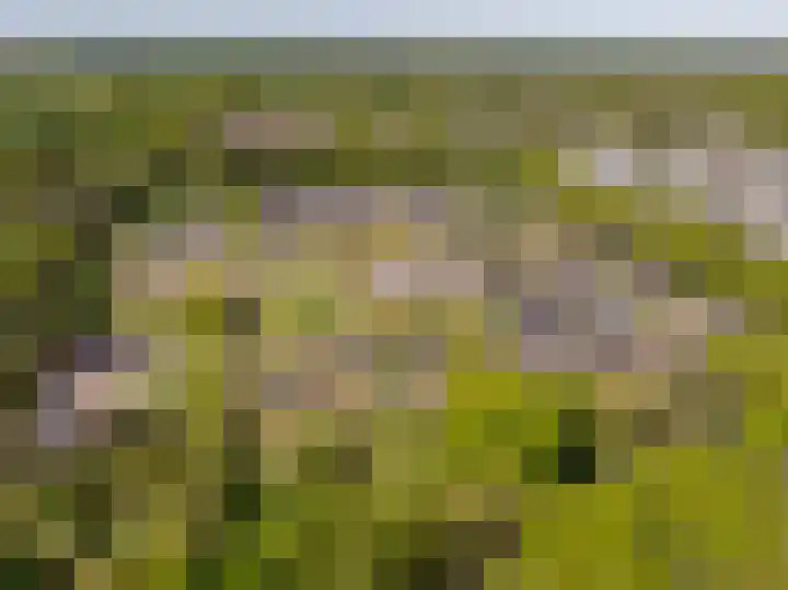 Het Hooge Veld 9 Zuidwolde thumbnail 60
