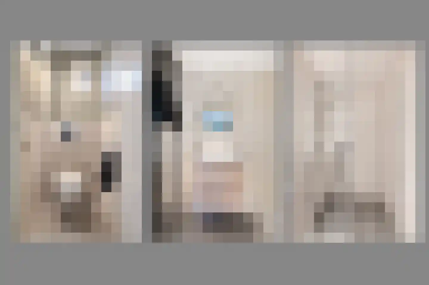 Het Hooghekke 4 Schijndel thumbnail 14