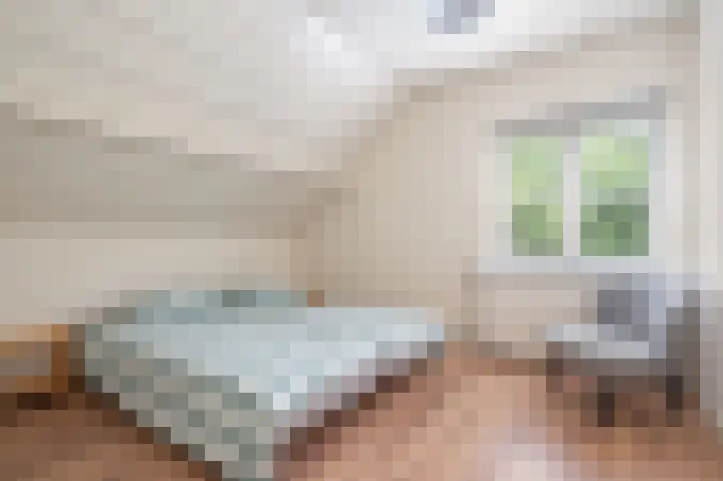 Het Hooghekke 4 Schijndel thumbnail 18