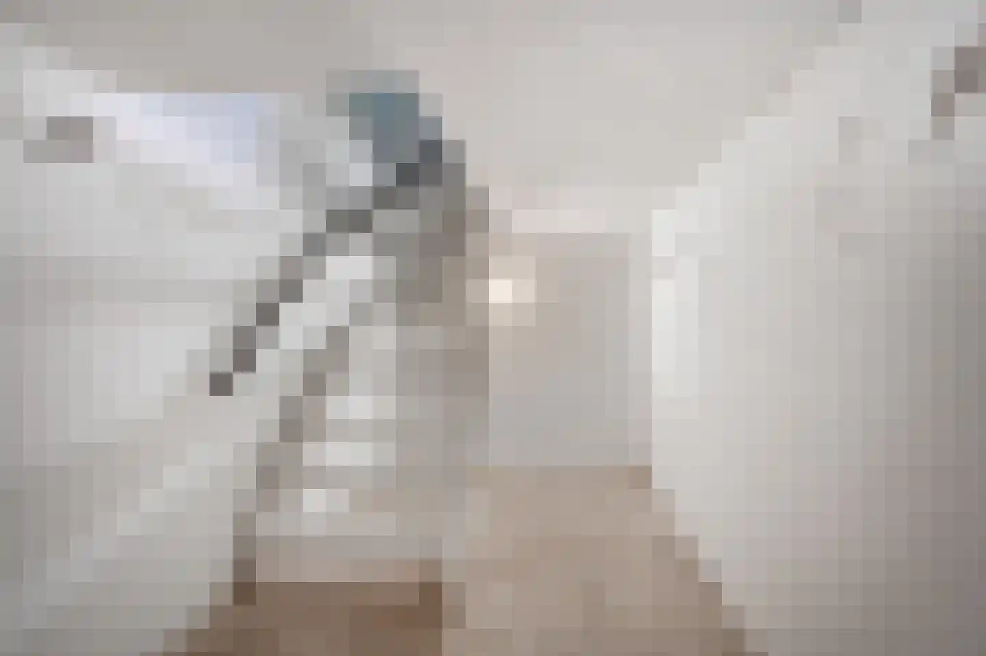 Het Hooghekke 4 Schijndel thumbnail 21