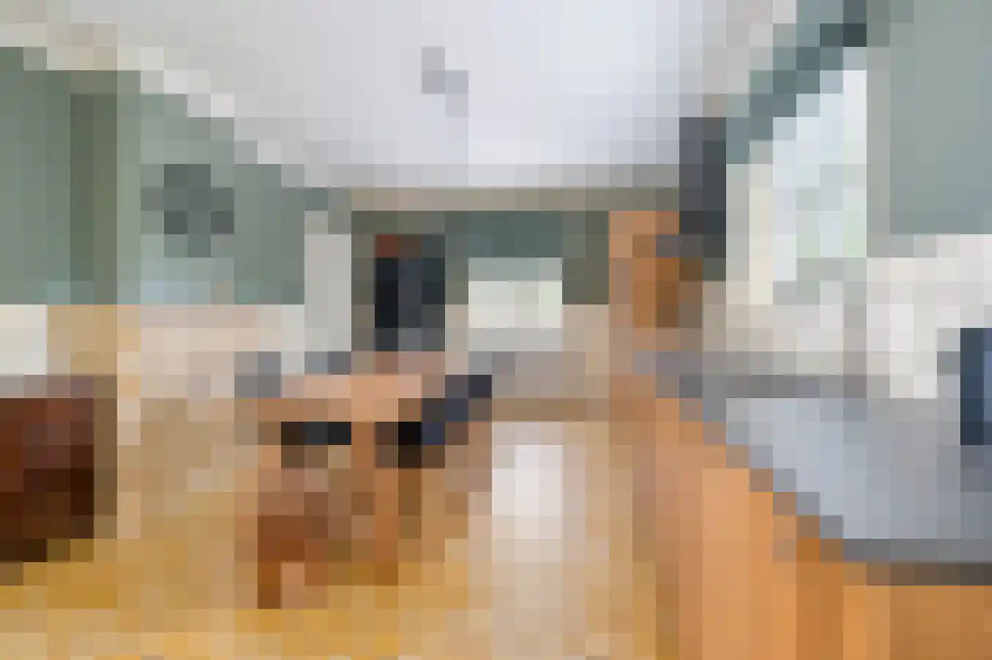 Het Hooghekke 4 Schijndel foto 3