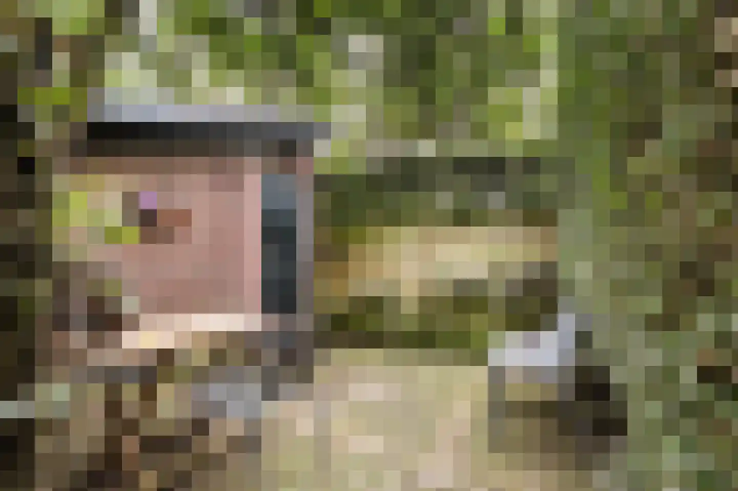Het Hooghekke 4 Schijndel thumbnail 32
