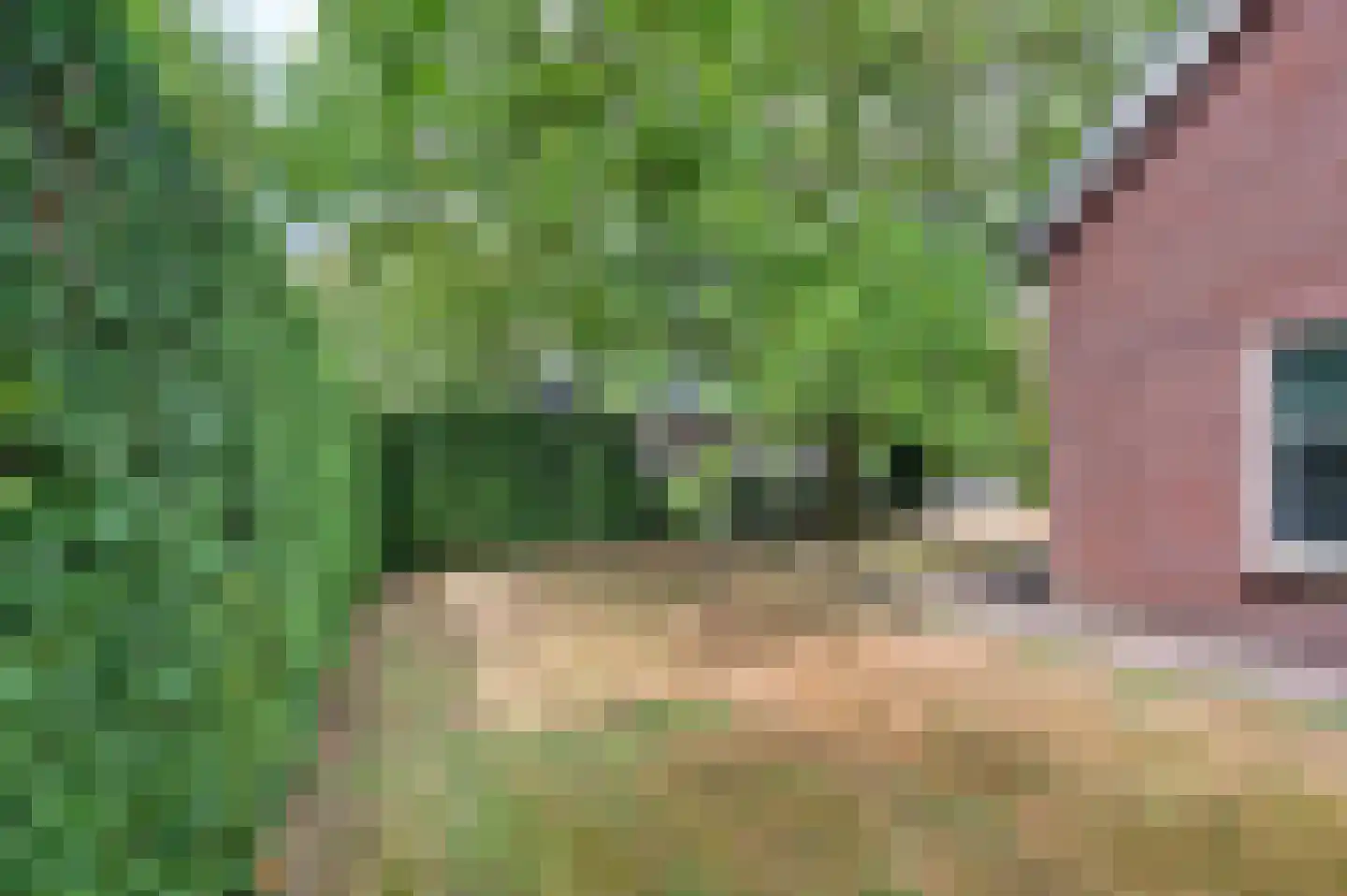 Het Hooghekke 4 Schijndel thumbnail 34