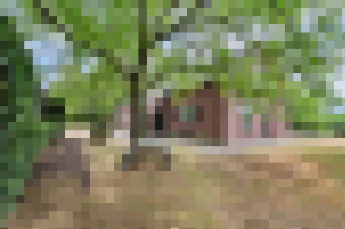 Het Hooghekke 4 Schijndel thumbnail 35