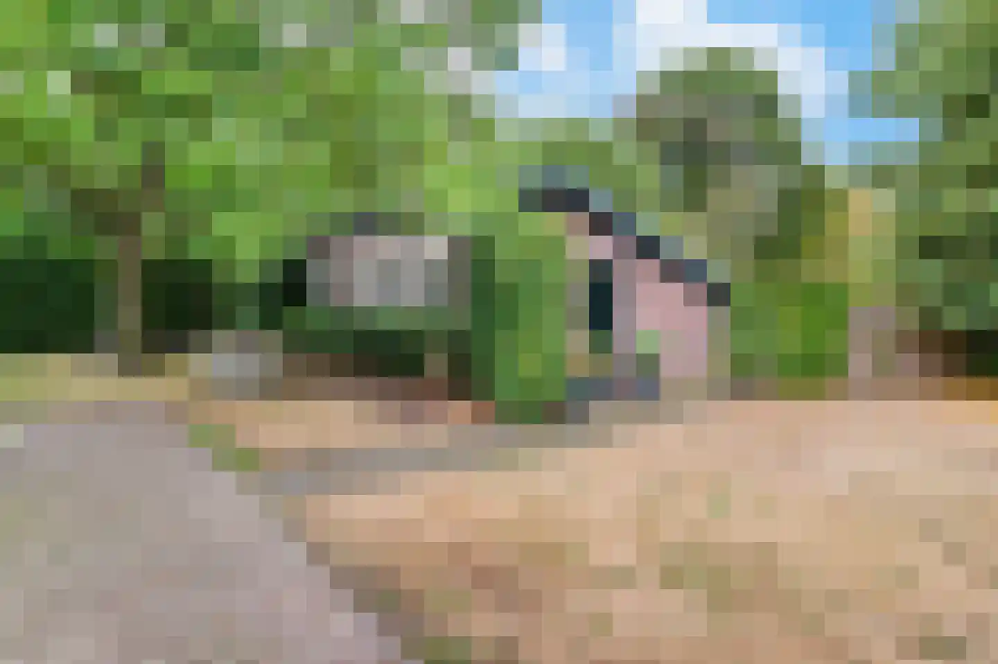 Het Hooghekke 4 Schijndel thumbnail 36