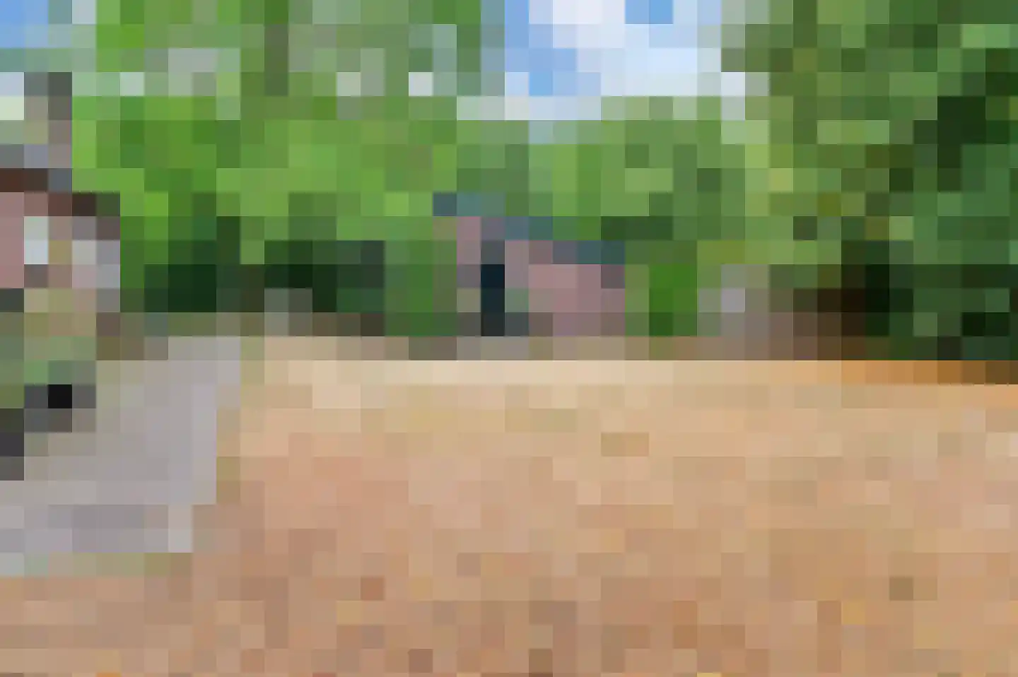 Het Hooghekke 4 Schijndel thumbnail 37