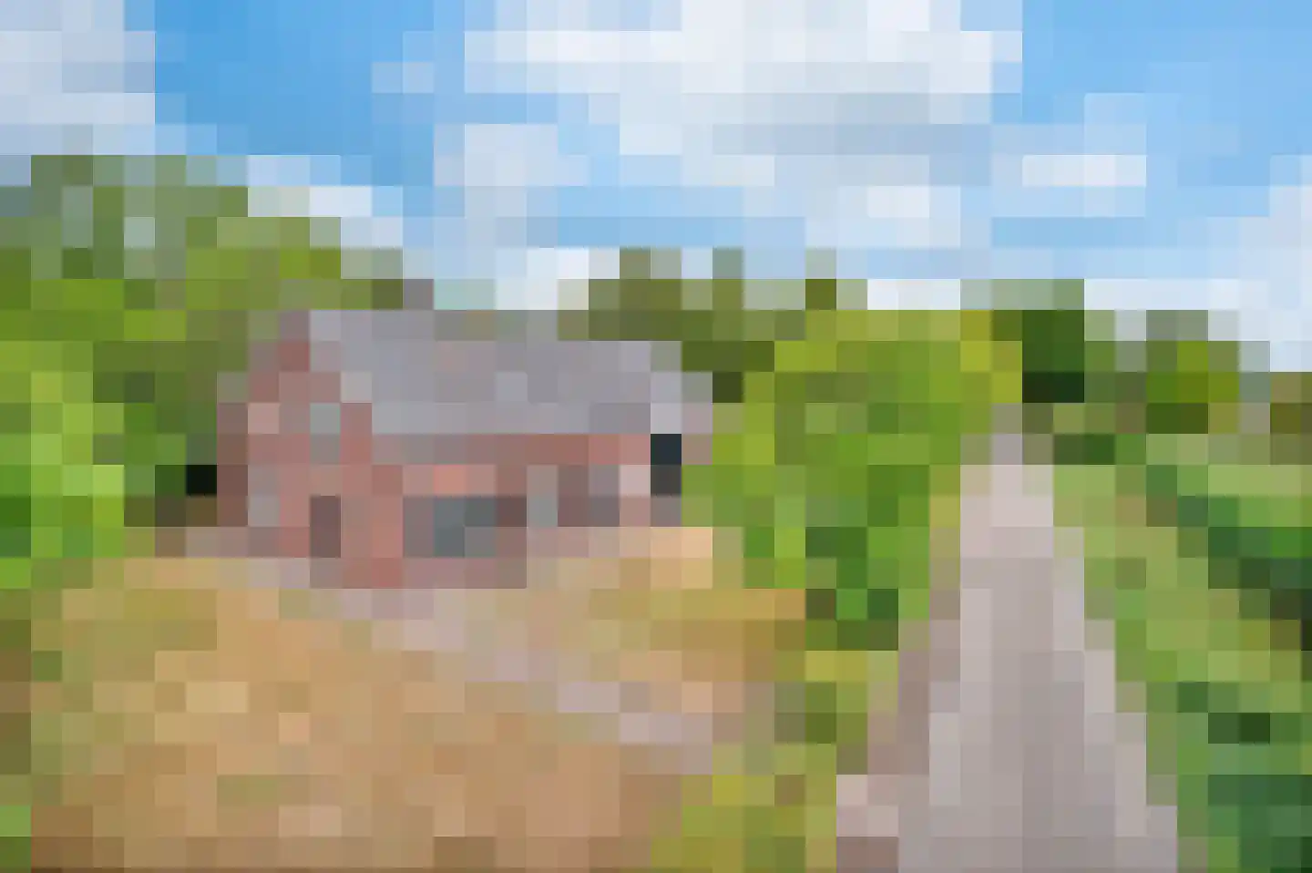 Het Hooghekke 4 Schijndel thumbnail 44