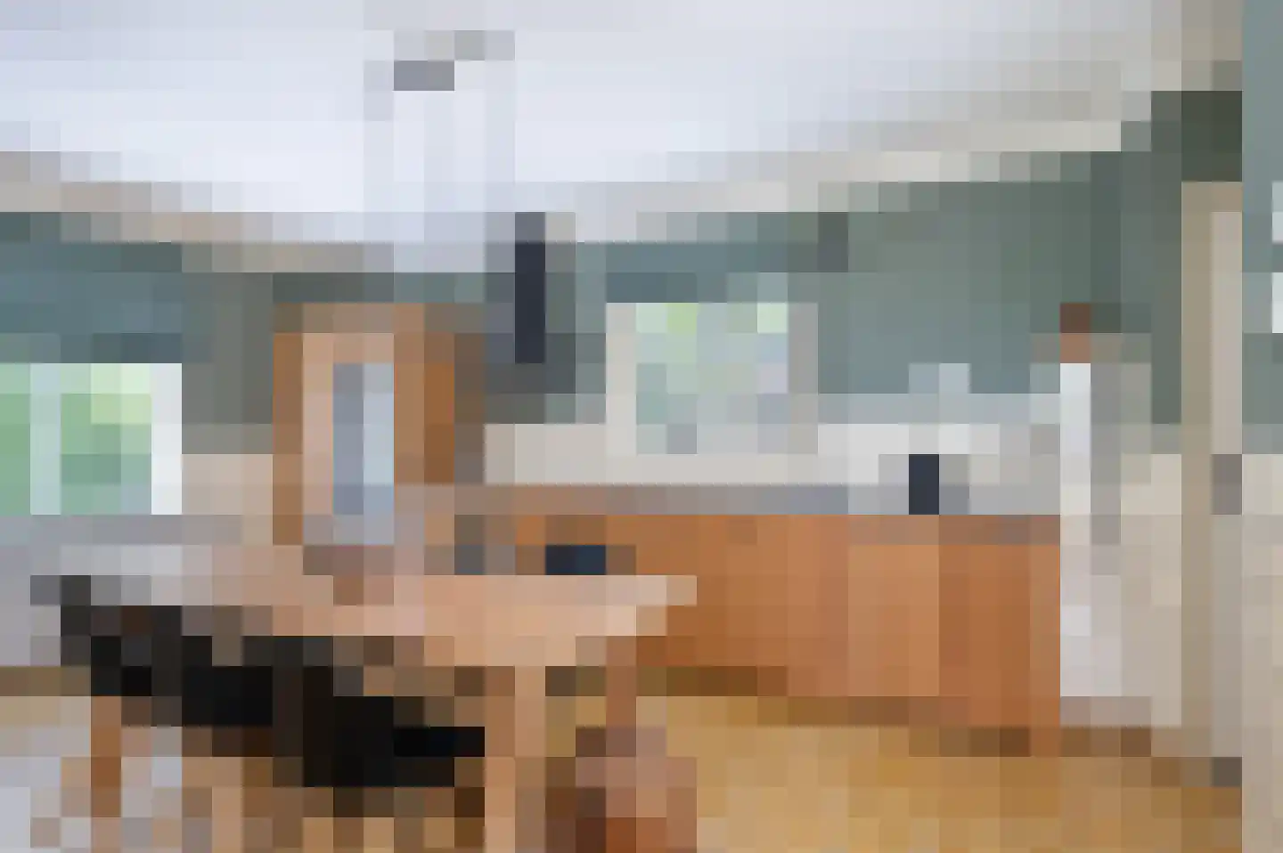 Het Hooghekke 4 Schijndel thumbnail 6