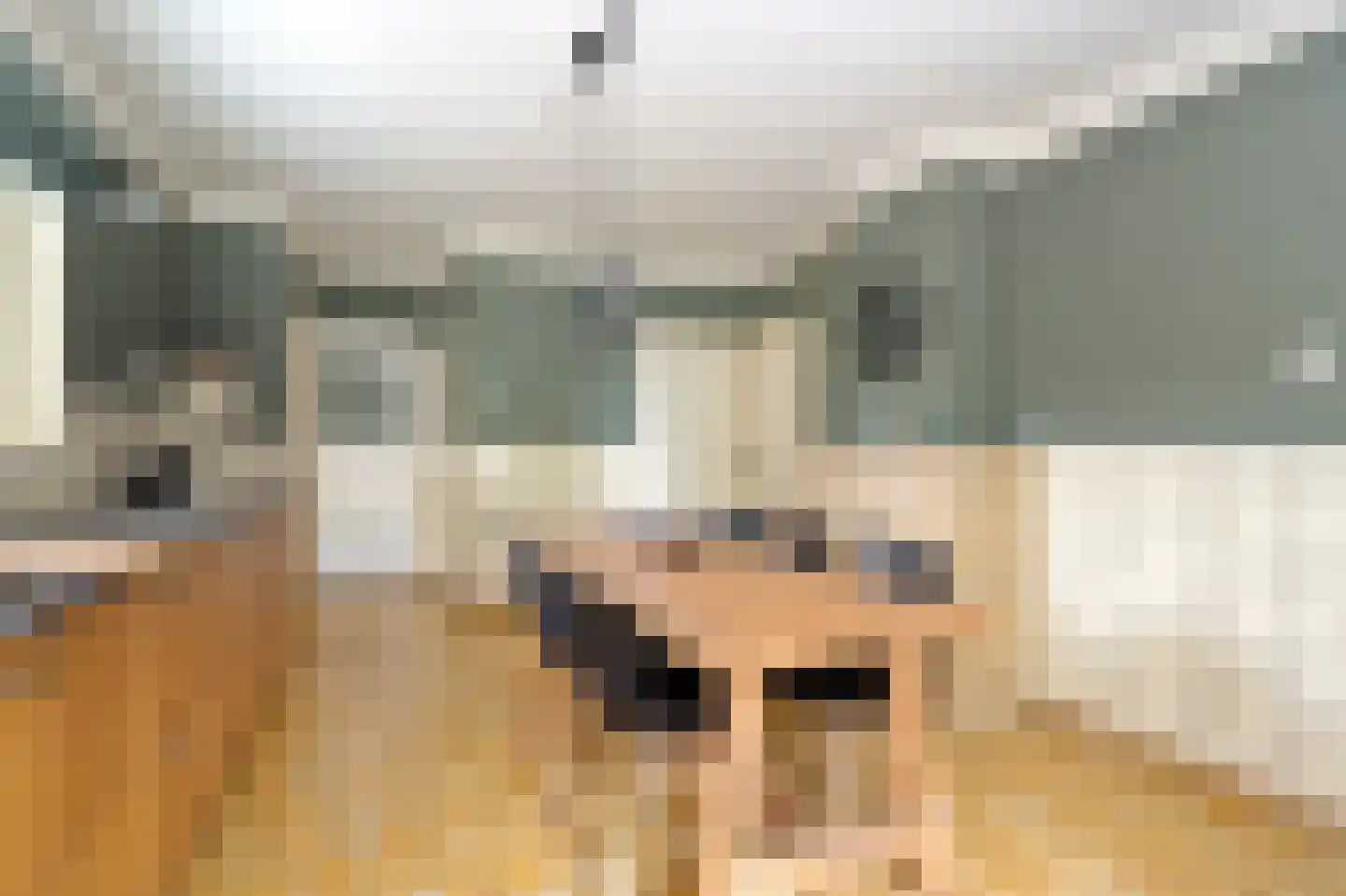 Het Hooghekke 4 Schijndel thumbnail 9