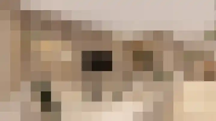 het Hooghuis 1 A Geldrop foto 2