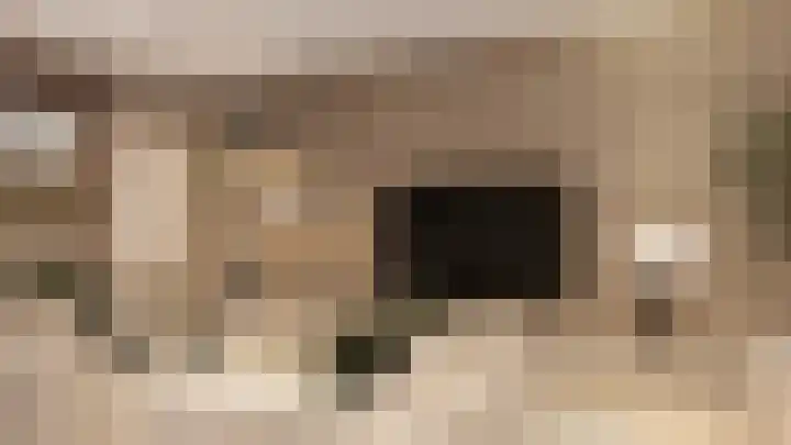 het Hooghuis 1 A Geldrop foto 3