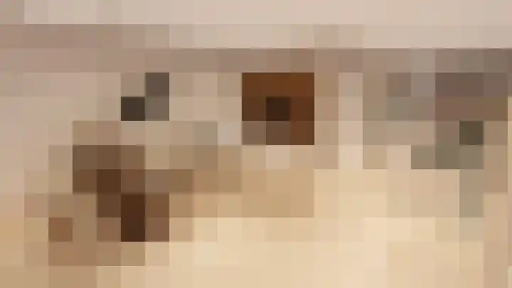 het Hooghuis 1 A Geldrop thumbnail 4