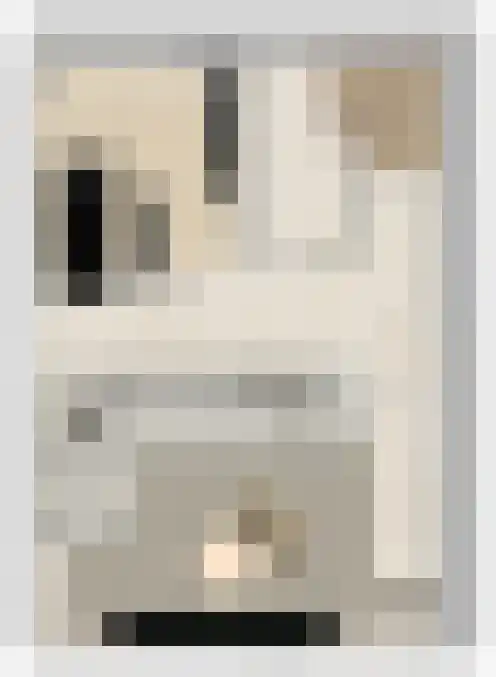 het Hooghuis 1 B Geldrop thumbnail 11
