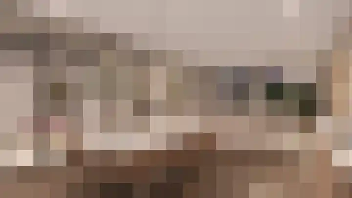 het Hooghuis 1 B Geldrop foto 3