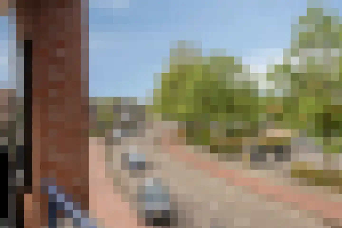 het Hooghuis 1 Geldrop thumbnail 23