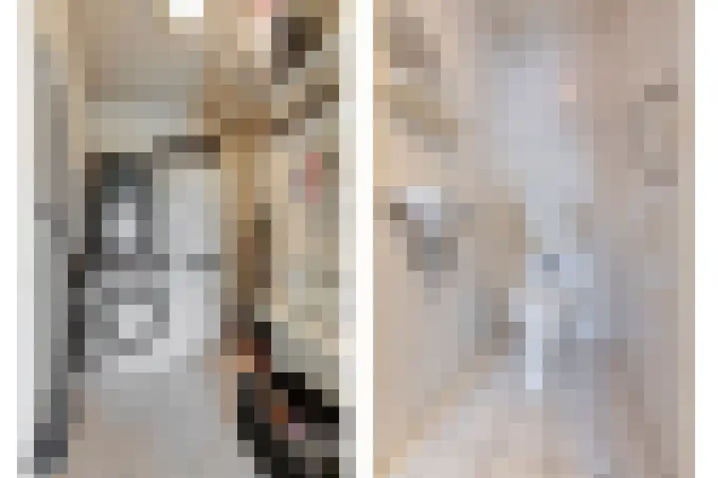 het Hooghuis 1 Geldrop thumbnail 25