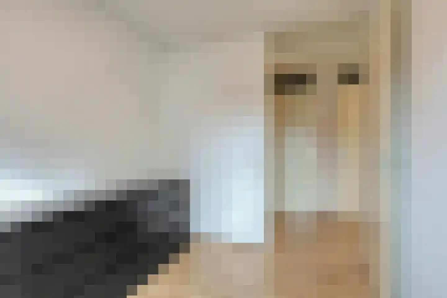 het Hooghuis 1 Geldrop thumbnail 27