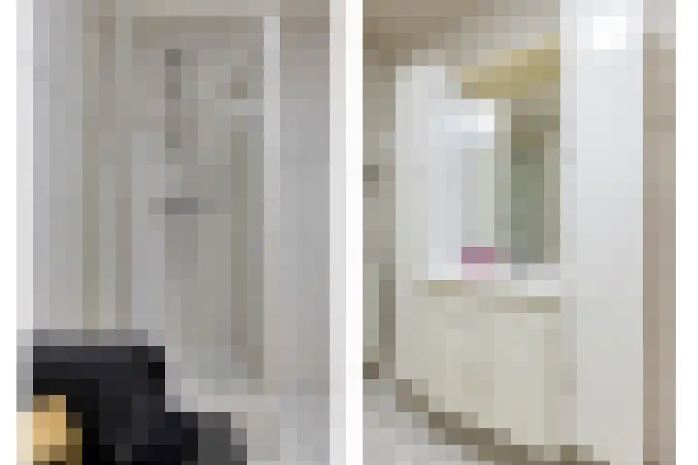 het Hooghuis 1 Geldrop thumbnail 29