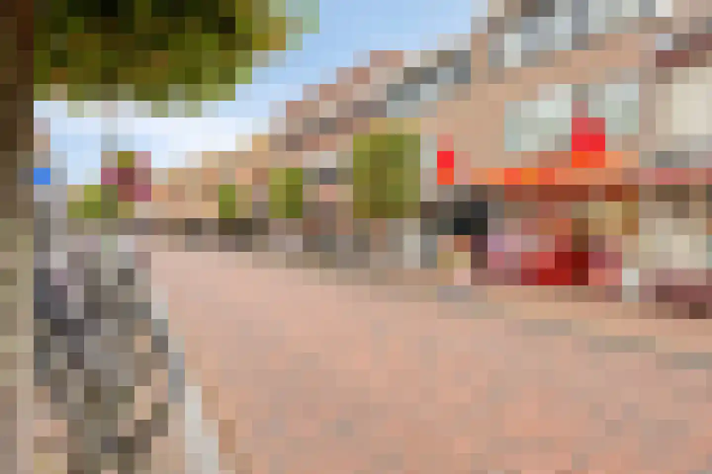het Hooghuis 1 Geldrop thumbnail 37