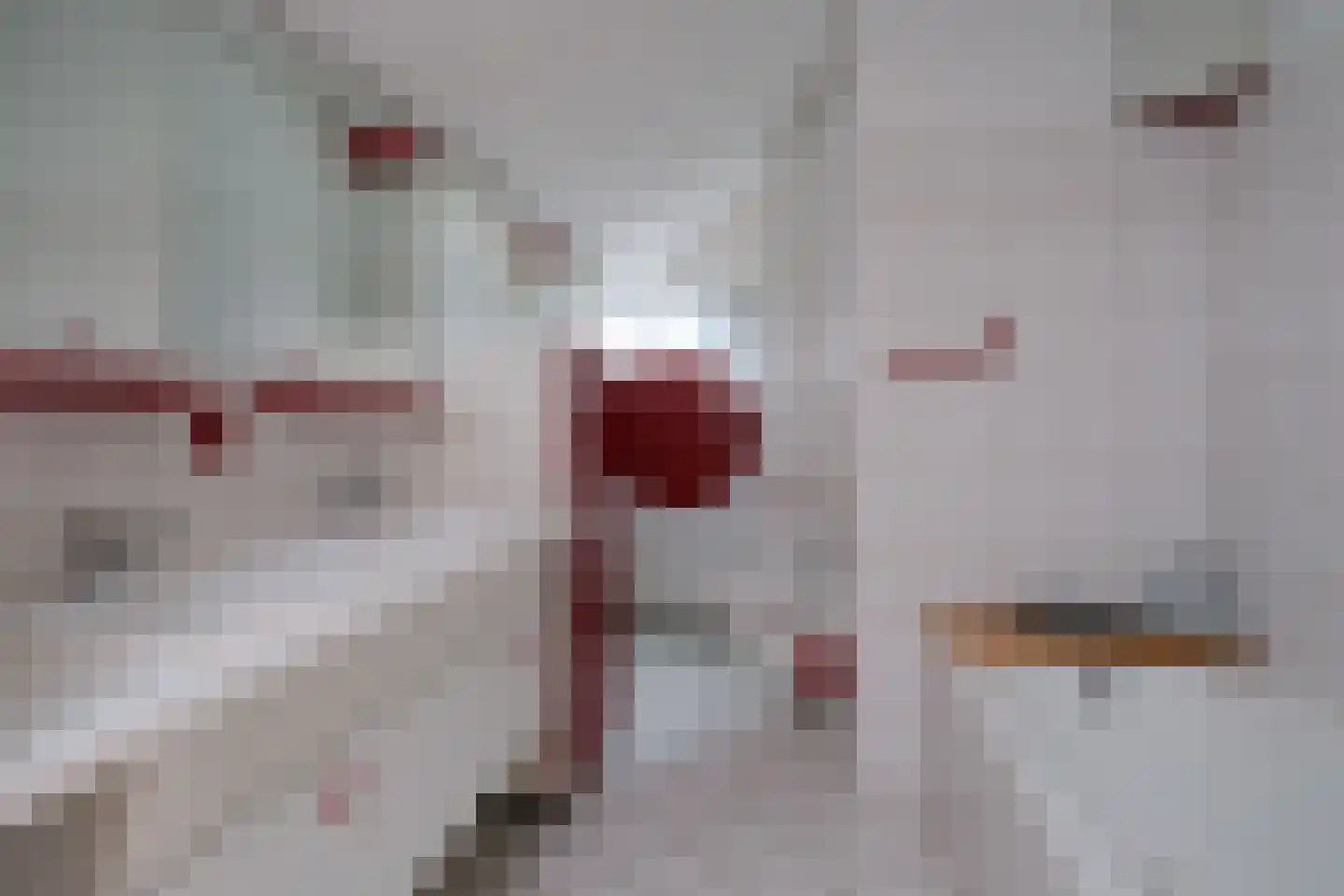 Het Hooghuis 4 Almelo thumbnail 11