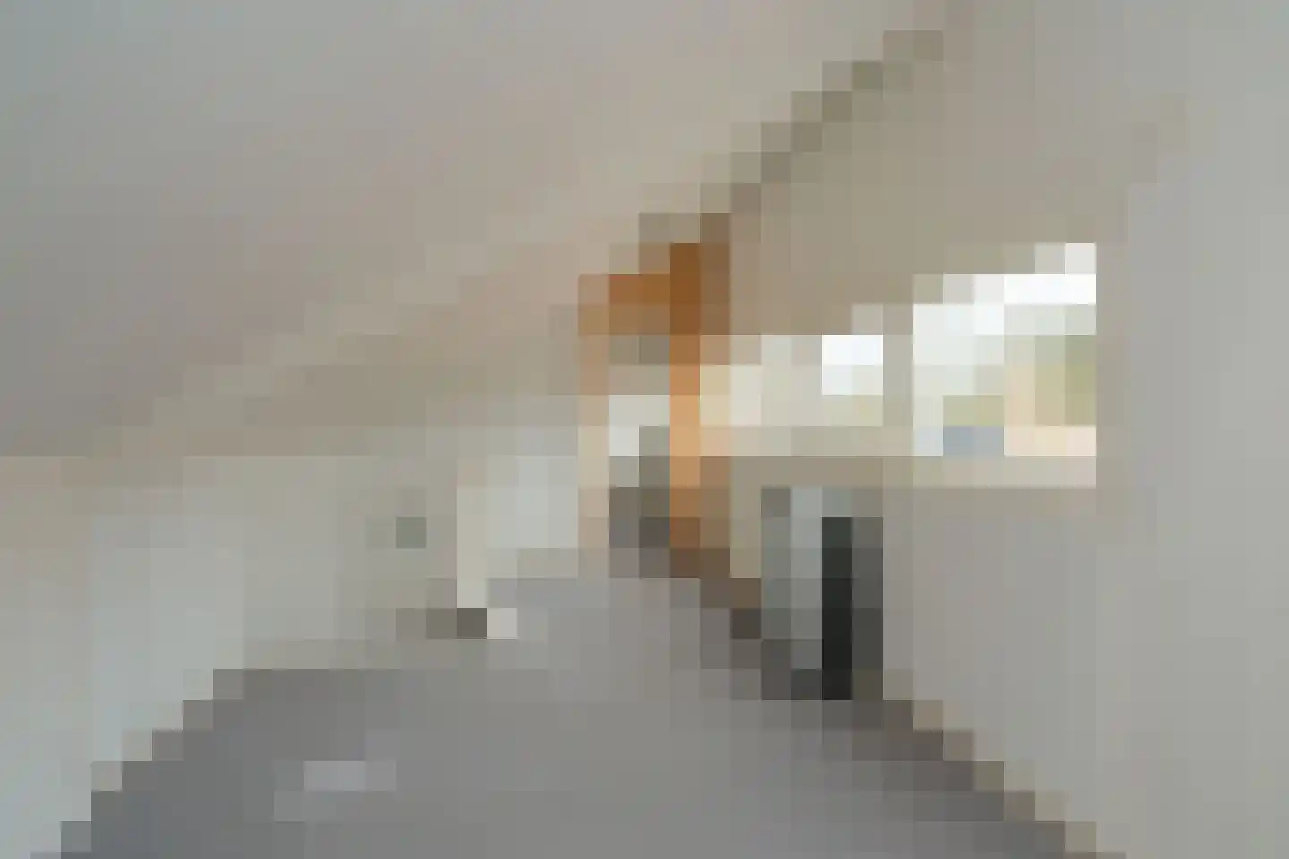 Het Hooghuis 4 Almelo thumbnail 14