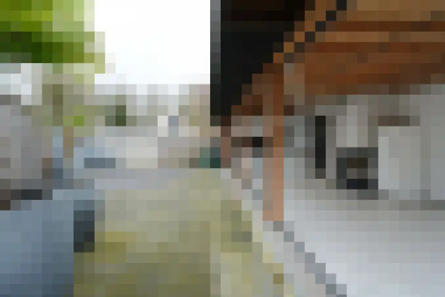 Het Hooghuis 4 Almelo thumbnail 17