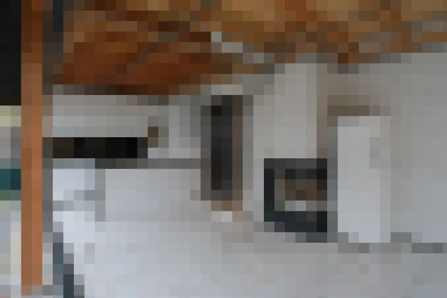 Het Hooghuis 4 Almelo thumbnail 18