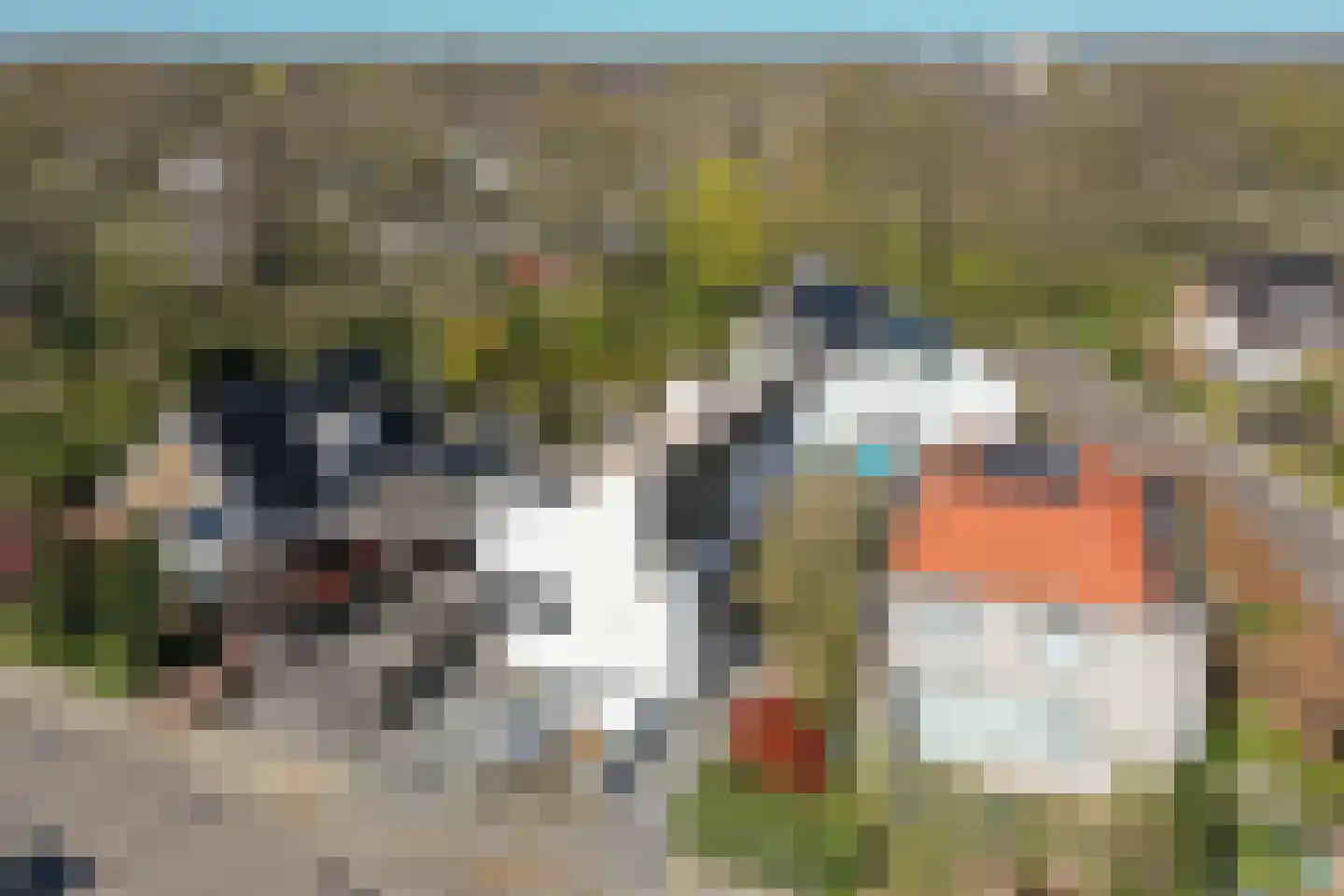 Het Hooghuis 4 Almelo thumbnail 24