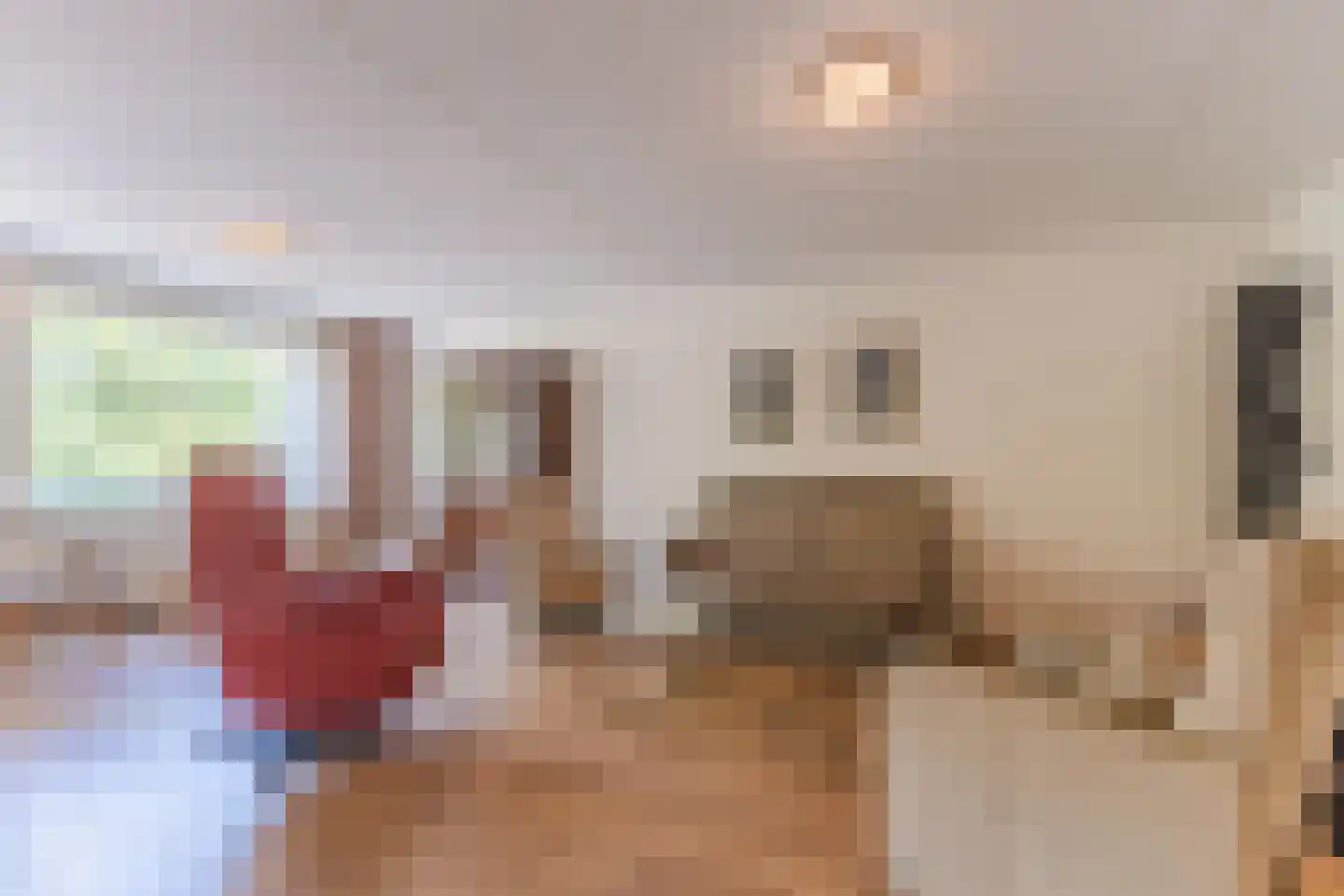 het Hooghuis 5 Geldrop thumbnail 10