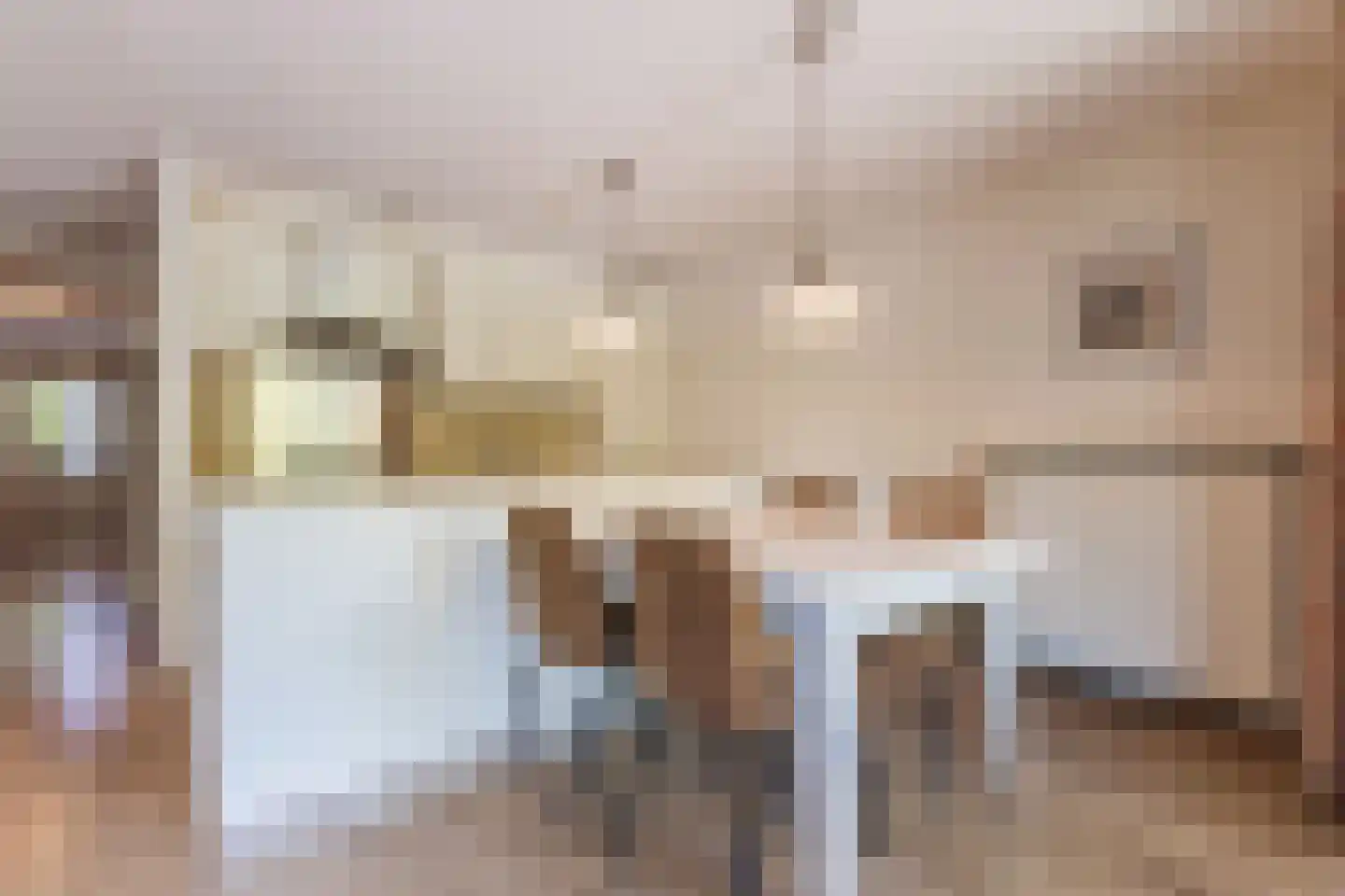 het Hooghuis 5 Geldrop thumbnail 13