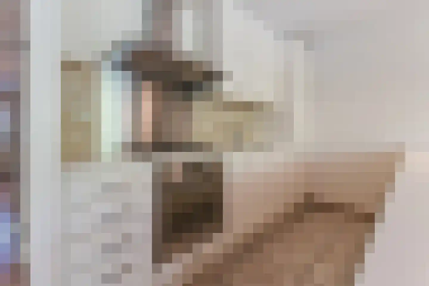 het Hooghuis 5 Geldrop thumbnail 15