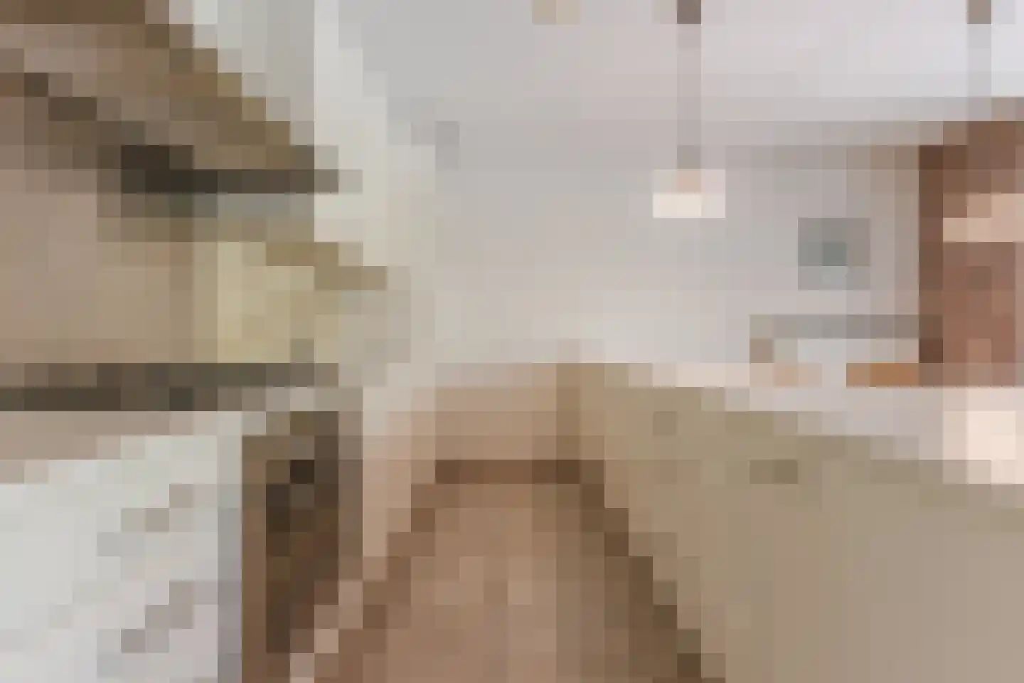 het Hooghuis 5 Geldrop thumbnail 16