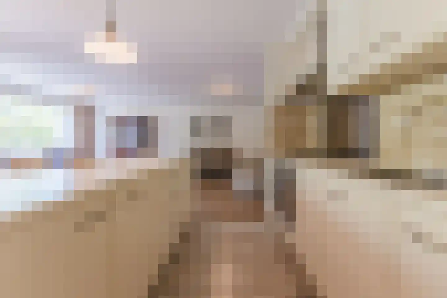 het Hooghuis 5 Geldrop thumbnail 17