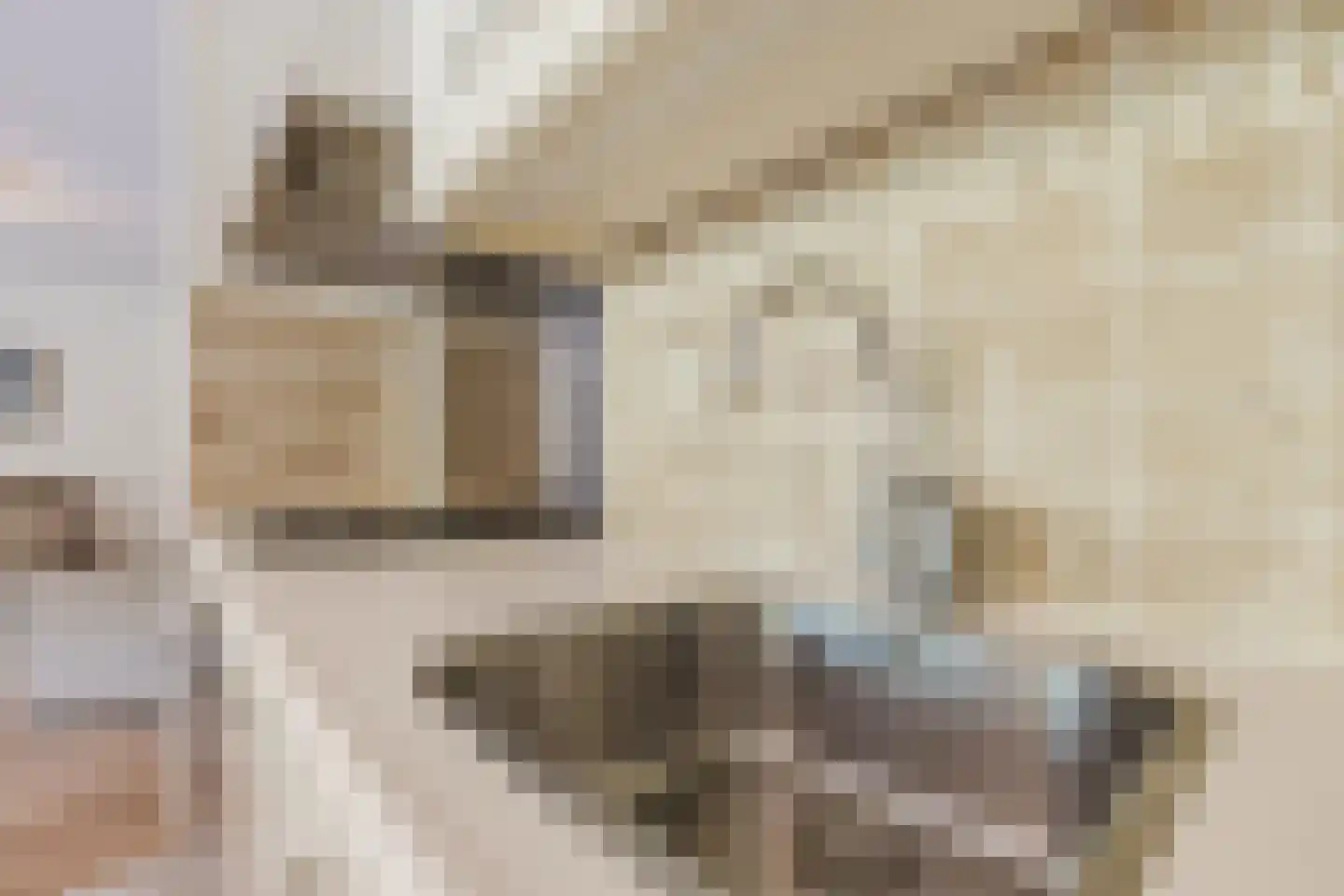 het Hooghuis 5 Geldrop thumbnail 18