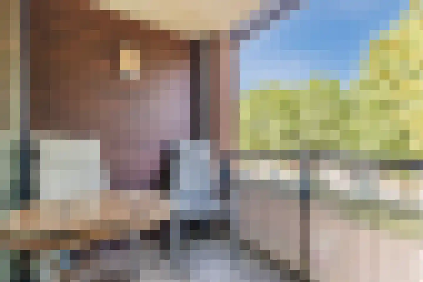 het Hooghuis 5 Geldrop thumbnail 19