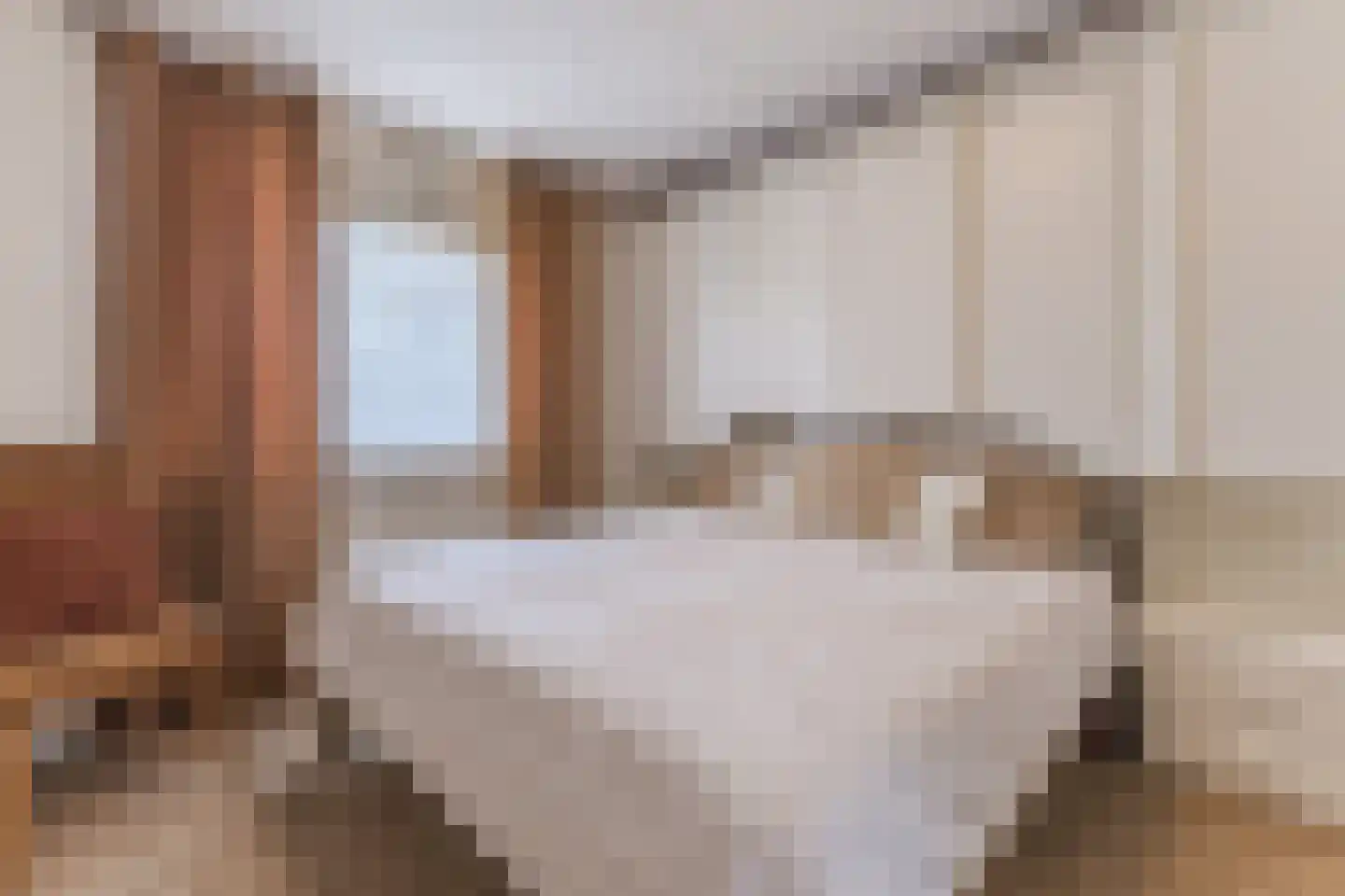 het Hooghuis 5 Geldrop thumbnail 24