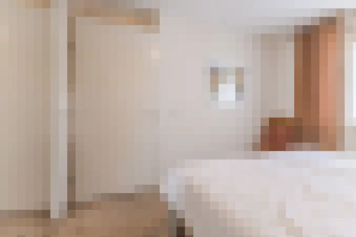 het Hooghuis 5 Geldrop thumbnail 25