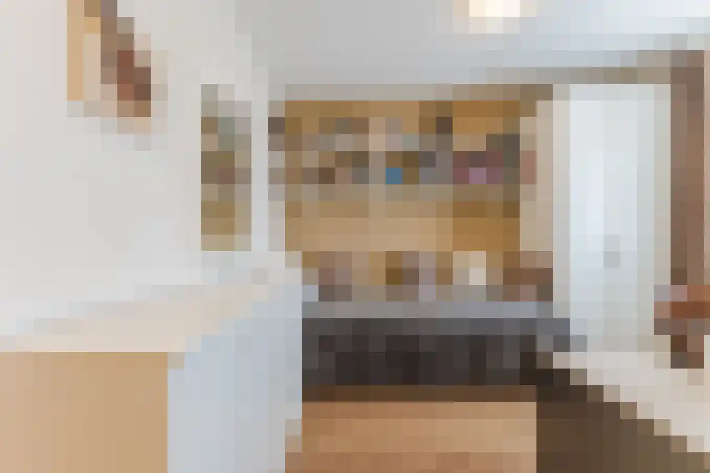 het Hooghuis 5 Geldrop thumbnail 26