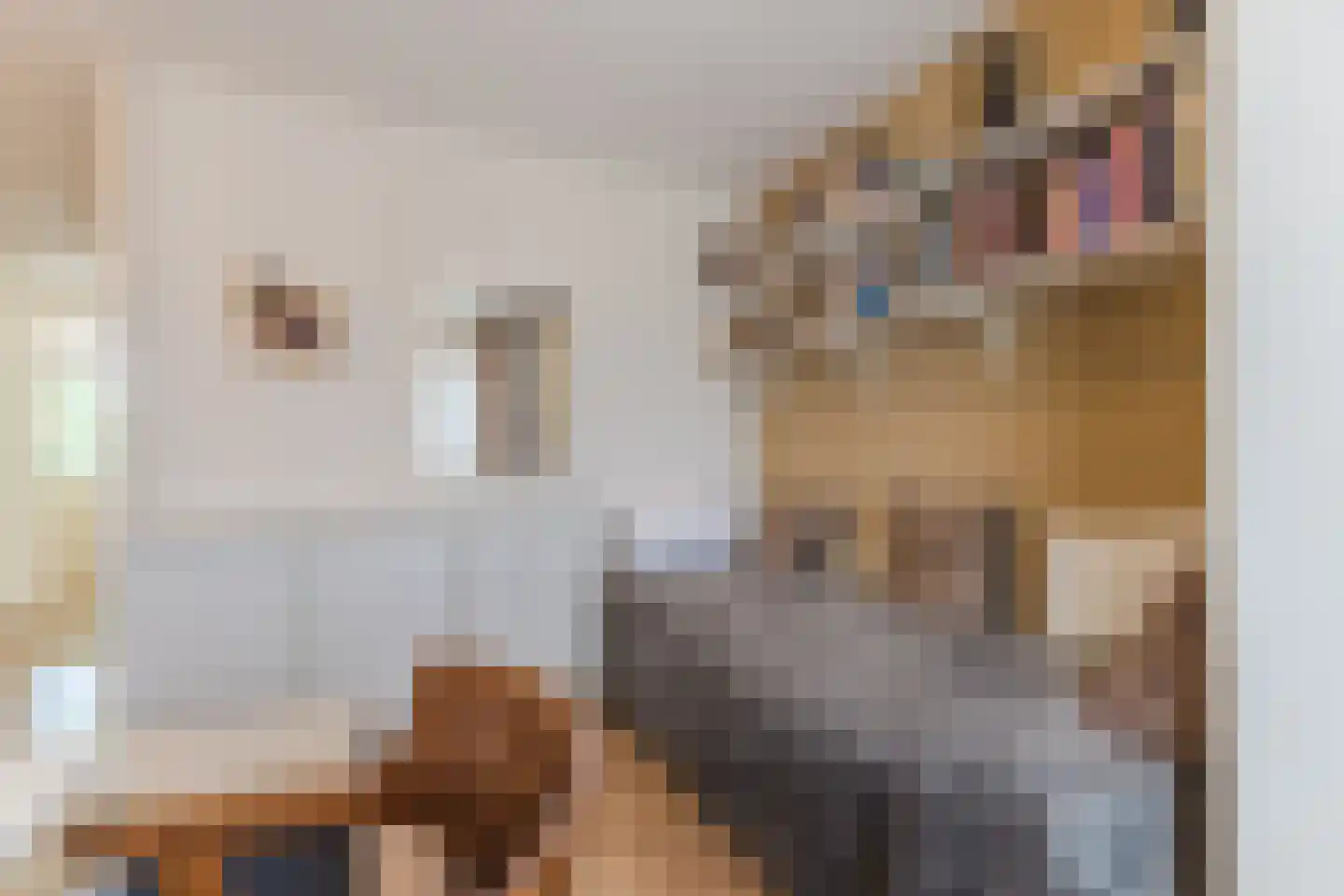 het Hooghuis 5 Geldrop thumbnail 27