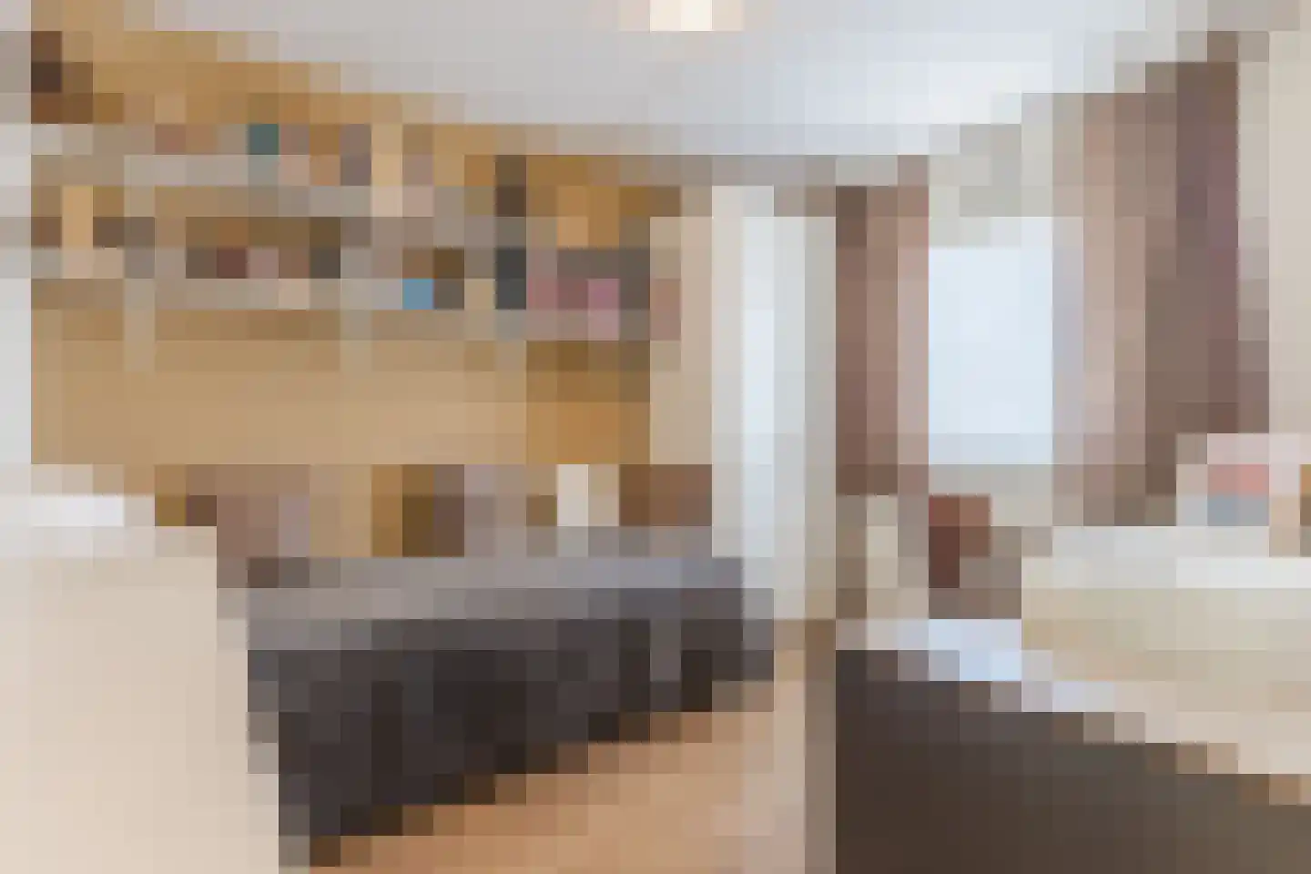 het Hooghuis 5 Geldrop thumbnail 28