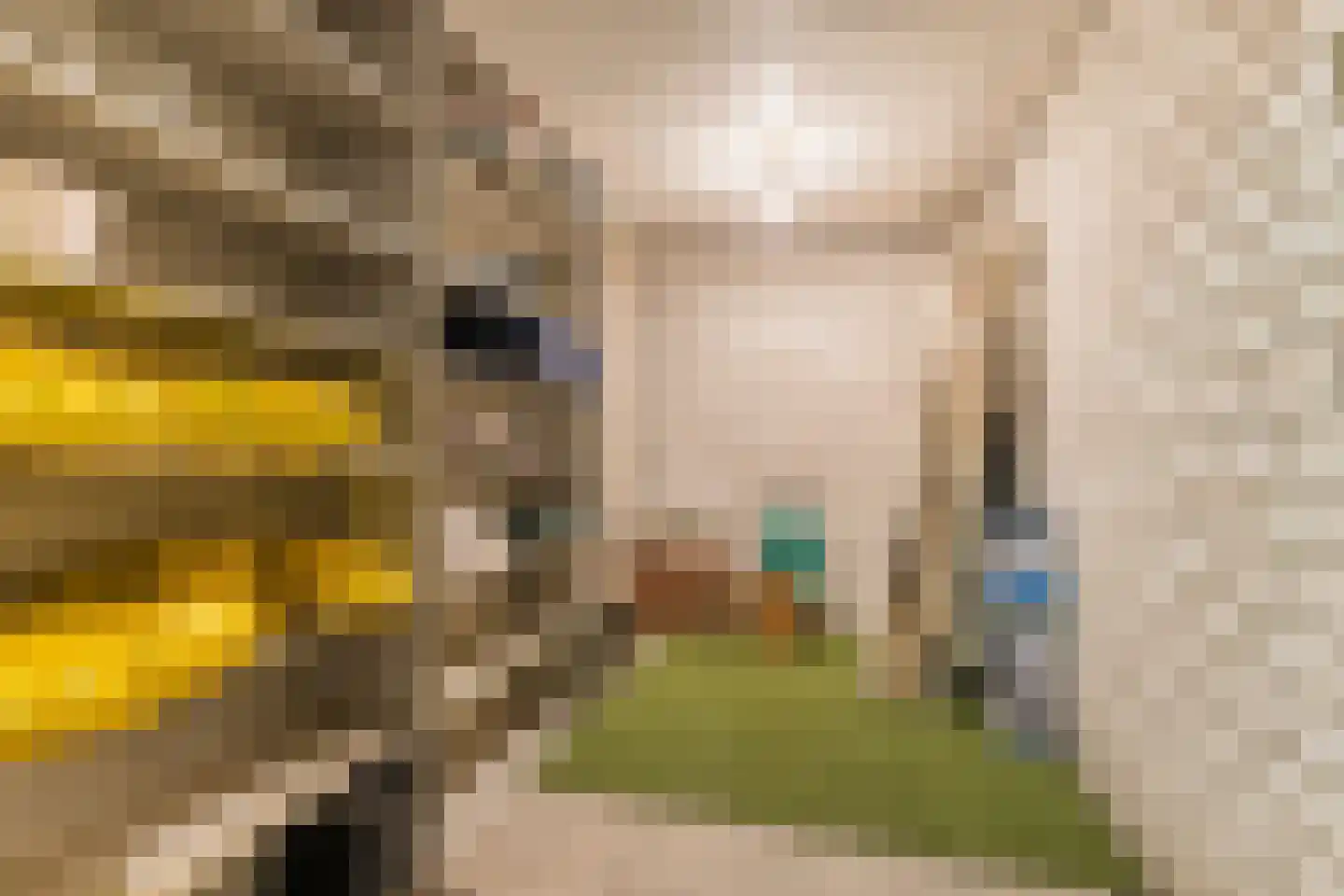 het Hooghuis 5 Geldrop thumbnail 34