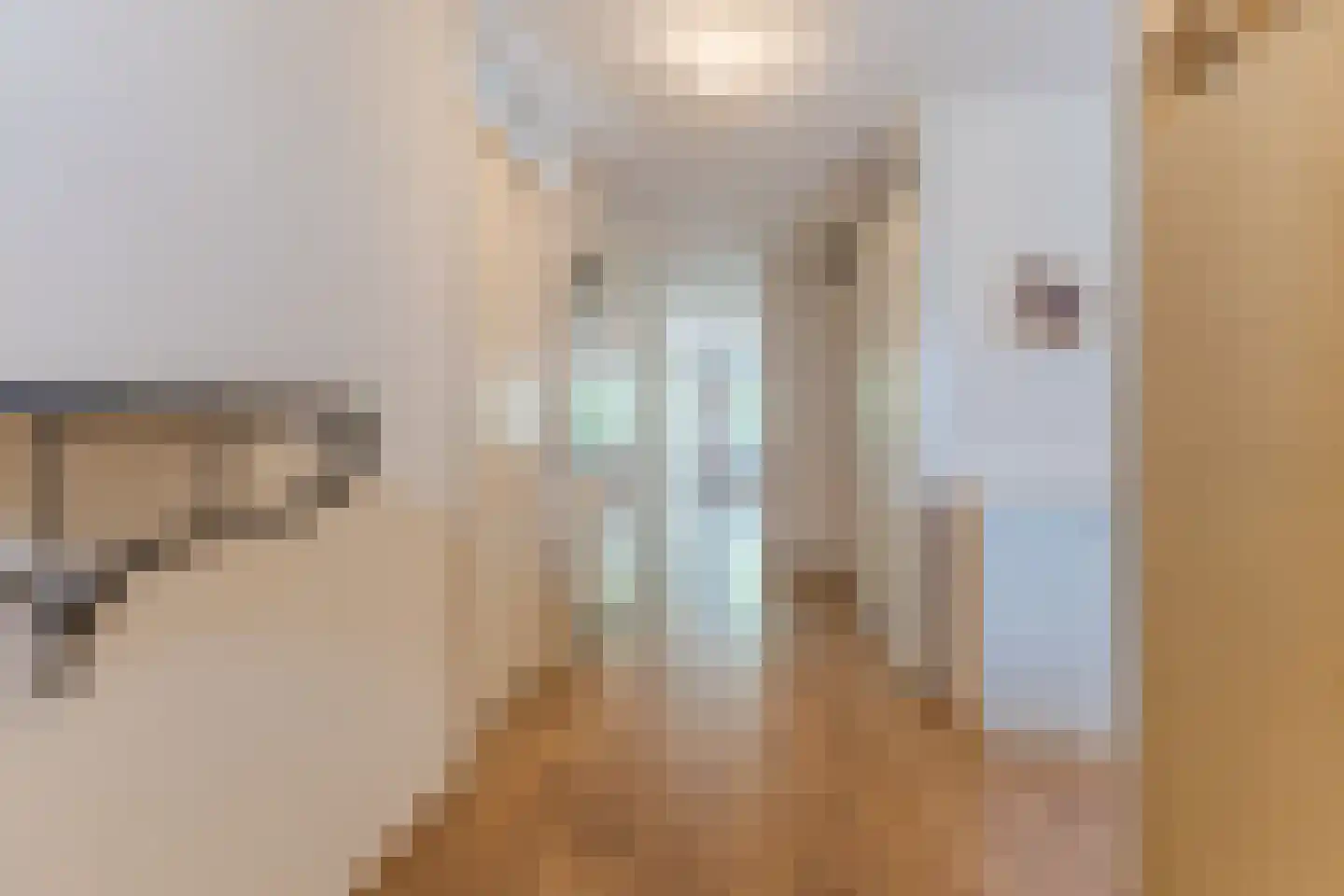 het Hooghuis 5 Geldrop thumbnail 9