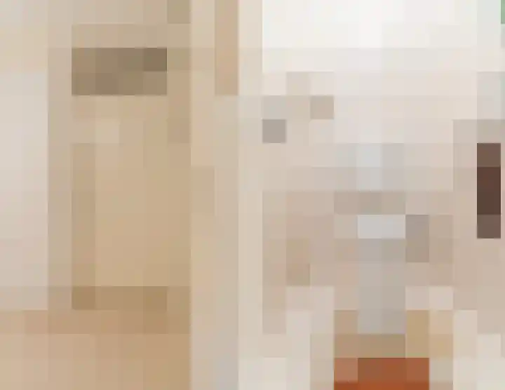 het Hooghuis 6 Geldrop thumbnail 10