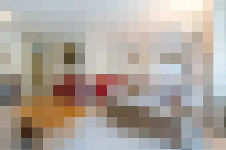 het Hooghuis 6 Geldrop foto 2